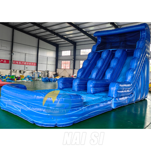 Toboggan aquatique gonflable commercial pour jardin, double piste, motif vague bleue, pour adultes, à vendre - Product Image 2