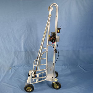 Trasportatore Elettrico per Suini Morti Wen's, Veicolo Elettrico per il Trasporto di Suini, Veicolo per il Trasporto di Suini per Allevamenti - Product Image 6