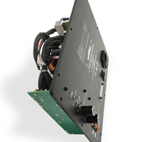 Module d'amplificateur de plaque numérique basse fréquence 250 Watts, conception solide et stable, amplificateur de plaque de subwoofer DSP personnalisé en usine, classe D