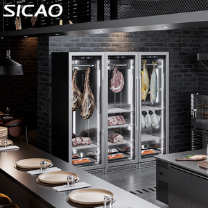 SICAO Armoire de maturation à froid pour steak de bœuf, en acier inoxydable, intégrée, pour la maison et la restauration - Product Image 6