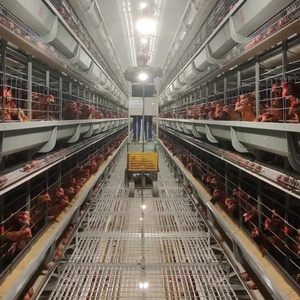 Thiết kế hiện đại đúc sẵn Kết Cấu Thép Xây Dựng Mới gia cầm nhà kho cho lớp Gà Thịt trang trại cho Gà Nuôi - Product Image 5