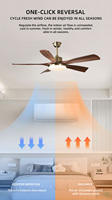 Ventilateur de plafond LED moderne et silencieux avec moteur DC sans balais en cuivre, télécommande, 5 pales, 6 vitesses, intensité variable, température de couleur 3000-6000K
