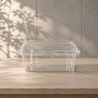 Boîte en plastique PET transparente jetable rectangulaire avec finition gaufrée pour l'emballage des fruits