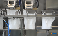 Machine d'emballage automatique Acepack HFFS DS-240SXC pour sachets, qualité alimentaire, liquides/jus/détergents, pompe servo haute précision