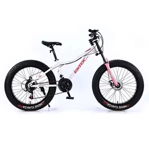 Tianjin Factory Manufacture bicicleta aro 29 Custom Color and Specification Good Quality 27.5 Inch Mountain Bicycle For Adult