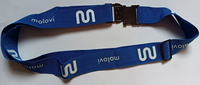 Nouvelle Sangle de Bagage de Voyage Ajustable en Polyester/Nylon de Haute Qualité avec Boucle Métallique – Collection 2027