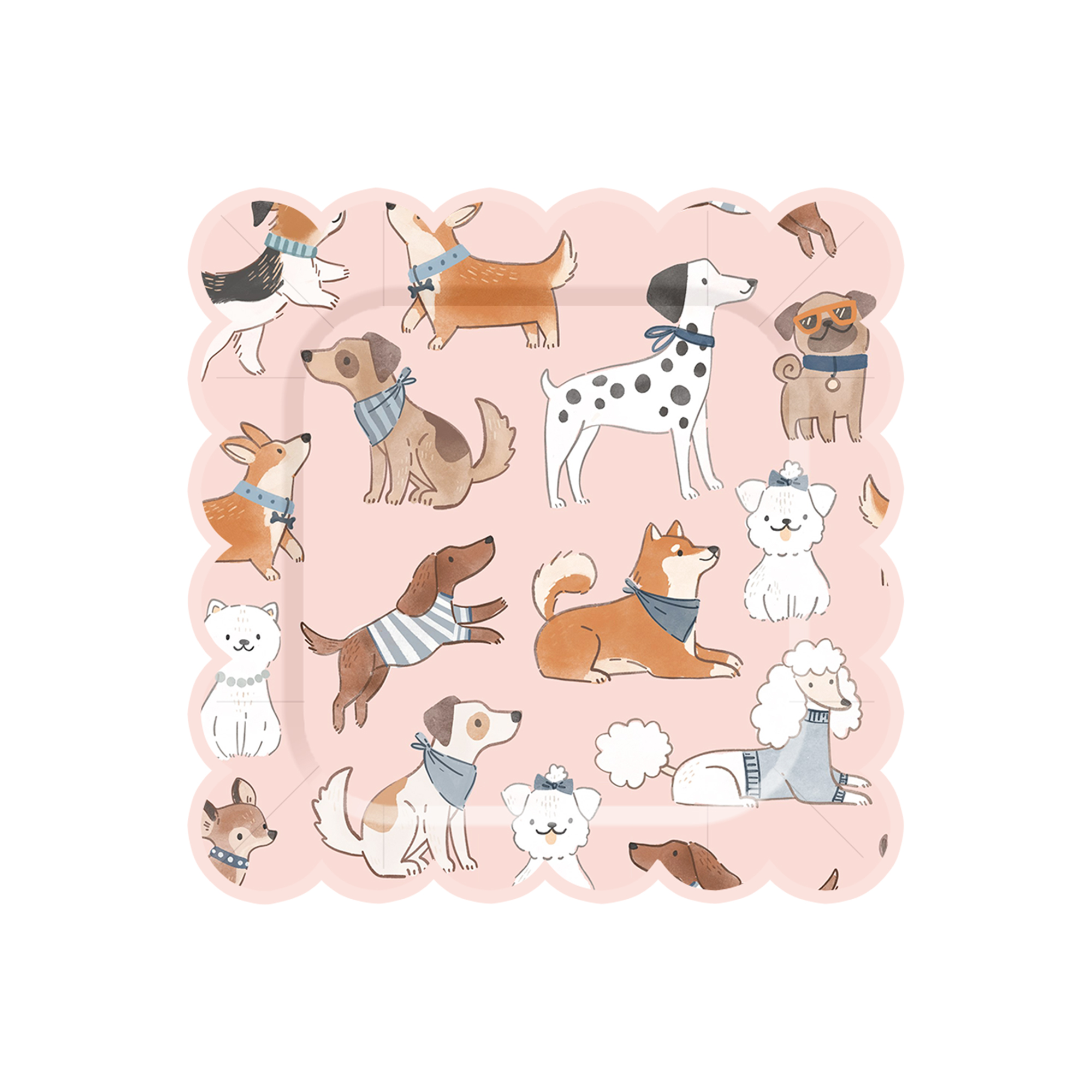 8,5 pulgadas x 8 piezas