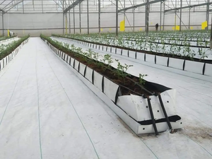 Contenedor de cultivo contemporáneo sin suelo para jardinería urbana <span class=keywords><strong>Maceta</strong></span> de tamaño de hoja gigante para plantas al aire libre Hierbas frescas - Product Image 4