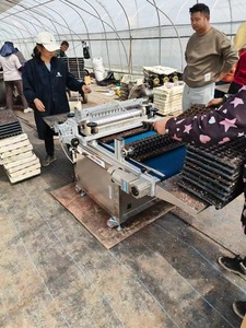 Tự Động Rau Hoa Hạt Giống Khay Cây Giống Máy Cây Giống Gieo Trồng Máy Cho 105 128 200 Tế Bào Khay - Product Image 6