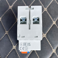 Interrupteur différentiel Chint NL1-63 Type a RCCB 2P 25A 40A 63A 2 pôles 6kA 10kA NL1-63-263/30-A NL1-2-63-30A10 CHNT CE UKCA RCD