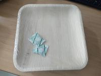 Assiettes jetables en feuille de palmier, 10 pouces, lot de 100, pour fête, biodégradables, écologiques