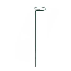 Hot Sale Garden Single Stem Plant <strong>Flower</strong> <strong>Support</strong> Ring Frame for Orchid Peony Lily Roseb Plant <strong>Support</strong> Stakes - Product Image 1