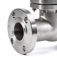 Válvula de Compuerta J41H CF8 Clase 300 de Acero Inoxidable 304 con Brida para Tuberías Industriales, Válvula de Control de Flujo con Sello de PTFE Virgen