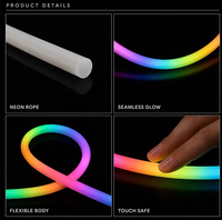 Bande LED néon intelligente à changement de couleur, basse tension, port USB, contrôle par application mobile, activation musicale, contrôle sonore, éclairage extérieur IP65