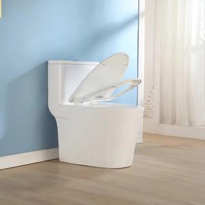 IShower Sanitaire Salle de bain Toilette monobloc Toilette au sol Placard à eau Cuvette de toilette - Product Image 5