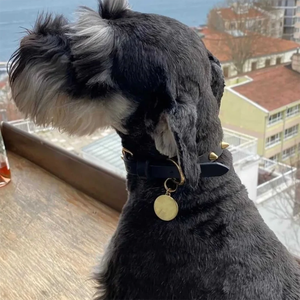 제조 내구성 개 목걸이 평생 내구성 미끄러짐 방지 편안하고 안전한 질식 없음 소형 개를 위한 친환경 이상적 - Product Image 5