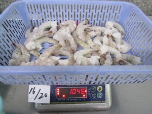 Gambas Vannamei congeladas de mariscos con gambas blancas de calidad a precio barato - Product Image 4