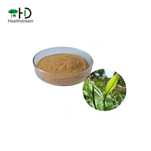 Polvo de <span class=keywords><strong>extracto</strong></span> de té <span class=keywords><strong>verde</strong></span> té polifenoles - Product Image 1