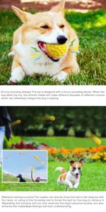 Juguete para Perros con Sonido, Cepillo de Dientes, Mordedor de Entrenamiento, Pelota - Product Image 4