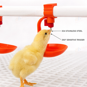 ระบบจ่ายน้ำไก่แบบอัตโนมัติจากโรงงานโดยตรง พร้อมหัวจ่ายน้ำแบบจุกนม วัสดุสแตนเลส ประหยัดน้ำ เหมาะสำหรับฟาร์มไก่เนื้อ - Product Image 3