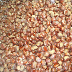 Châtaignes Fraîches <span class=keywords><strong>Prix</strong></span> de Gros Noix Brutes Douces et Savoureuses Approvisionnement en Vrac pour Supermarchés et Transformation Alimentaire - Product Image 1