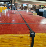 Contreplaqué de coffrage rigide durable multicouche pour les entrepreneurs en travaux publics, commande en gros pour l'exportation
