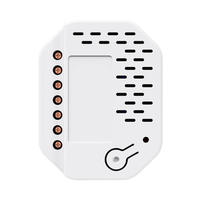 Módulo de Interruptor Inteligente para Automatización del Hogar, Compatible con Matter y WiFi, con Rango de 45m, 5A*2, AC 85-250V