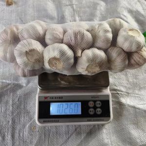 Ail <span class=keywords><strong>frais</strong></span> Ajo New Crop Ail blanc normal de bonne qualité Ail <span class=keywords><strong>acheter</strong></span> de l'ail 20kg sac en Chine - Product Image 3