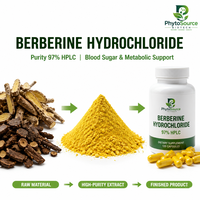 Extrait naturel de Coptis, poudre de berbérine à 98 % pour le soutien immunitaire et l'équilibre du métabolisme énergétique