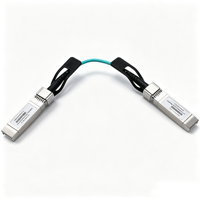 Penjualan Panas Optoray OTS-25G-AOC-1M 25G SFP28 AOC Kabel Optik Aktif 850nm Garansi 1 Tahun Harga Kompetitif FTTX Telekomunikasi 1M Fiber