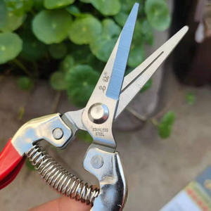 Tijeras de Podar de Acero Inoxidable Diamond 3002 con Cabeza Curva Larga, Cuchilla Roja de 40 mm, Tijeras de Jardín - Product Image 4