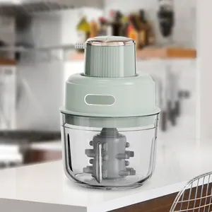 Multi-purpose New Electric Professional Meat Chopper Glass Bowl Meat Cutter Equipment Mini Grinder
