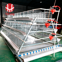 Cage d'élevage de poussins sur mesure avec cadre galvanisé pour grande poulailler, équipement de couvaison de poussins, fourniture directe d'usine