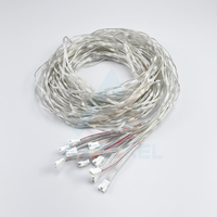 Guirlandes lumineuses LED intelligentes DC12V WS2811 pour décorations de Noël extérieures, lumières de rideau LED pour une ambiance festive