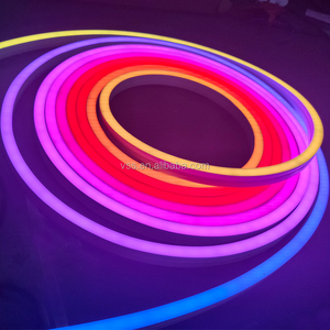 แถบไฟนีออน LED SMD5050RGB เครื่องบินซิมโฟนี12V 24V ตัวเครื่องทองแดงยืดหยุ่นตั้งโปรแกรมได้เต็มรูปแบบ IP67/จัดอันดับ IP68 - Product Image 3