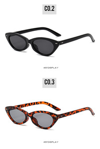 Lunettes de soleil polarisées <span class=keywords><strong>tendance</strong></span> de haute qualité, UV400, petite monture, œil de chat, lunettes de soleil de luxe pour femmes - Product Image 5