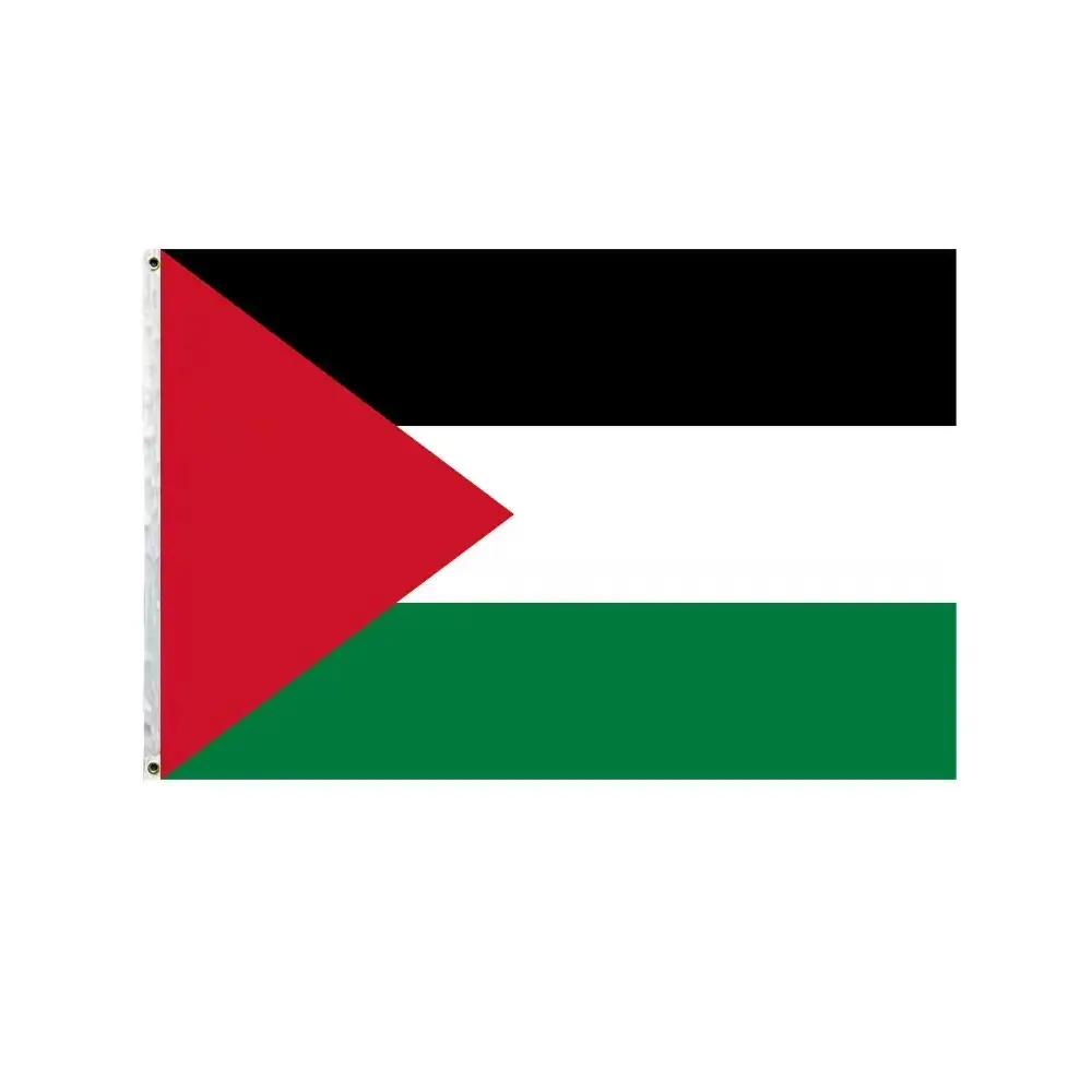48h Schnelle Lieferung Manufaktur Hot Sale Exquisite hochwertige Land flagge Palästina Flaggen, Banner