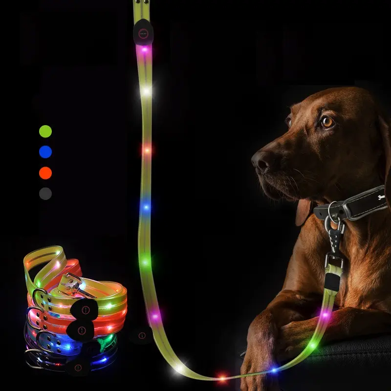 Collier lumineux LED en PVC avec port Usb pour chien, brille dans le noir, Rechargeable, accessoire pour animaux de compagnie