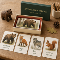 Cartes Flash Personnalisées Animaux de la Forêt Bilingues Roumanien-Anglais 350 g/m² Mat Laminé Éducatives pour Enfants