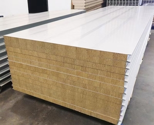 Panneaux sandwich en <span class=keywords><strong>laine</strong></span> <span class=keywords><strong>de</strong></span> roche d'acier pour salles blanches pharmaceutiques et chambres froides - Absorption acoustique, ignifuge, isolé - Product Image 1