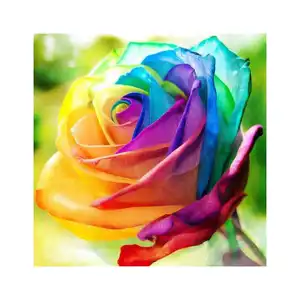 Diy Full Drill Canvas Arts Craft Personal Picture Customized Colorful Flower 5d Diamond Painting Kit for Adults