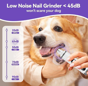 Meilleur vendeur mondial 2026, lime à ongles silencieuse Groom <span class=keywords><strong>Pro</strong></span>, lime à ongles silencieuse pour chien, réglage à 3 vitesses, lumière LED intégrée, sûre - Product Image 4