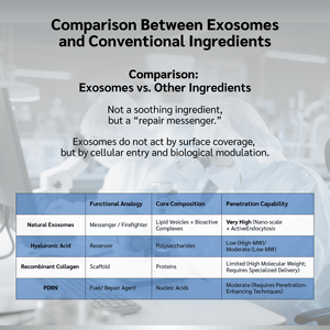 Article le plus vendu OEM/ODM – Collection Neuro-Glow & Barrier Defense (24 ensembles par boîte) – Essence lyophilisée pour usage en salon de beauté - Product Image 6