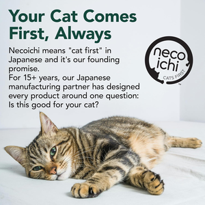 Lit grattoir en carton pour chats d'intérieur - Planche à gratter horizontale pour chats, coussin de grattage réversible - Product Image 3