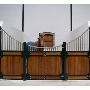 דוכני רכיבה על סוסים יוקרה עם מסגרת ציפוי אבקה עמיד בפני ליה עשוי בסין - Product Image 3