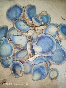 Curcuma noir frais super vendu, 100% pur, cultivé naturellement, utilisations multiples, curcuma noir à vendre par les exportateurs - Product Image 4