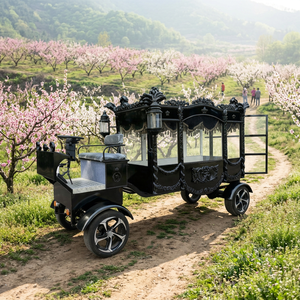 Special Tranpotation Vehicle Electric Black Hearse Modern Black Funeral Carriage Electric Horse <b>Cart</b> - Product Image 1