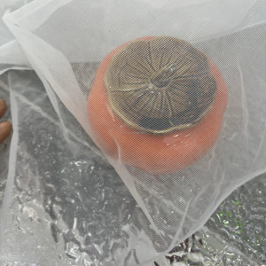 <strong>Corsetry</strong> Support <strong>Mesh</strong> Fabric 100% Nylon 30GSM Non Stretch for Bridal Bodice Foundation Applique Backing - Product Image 1