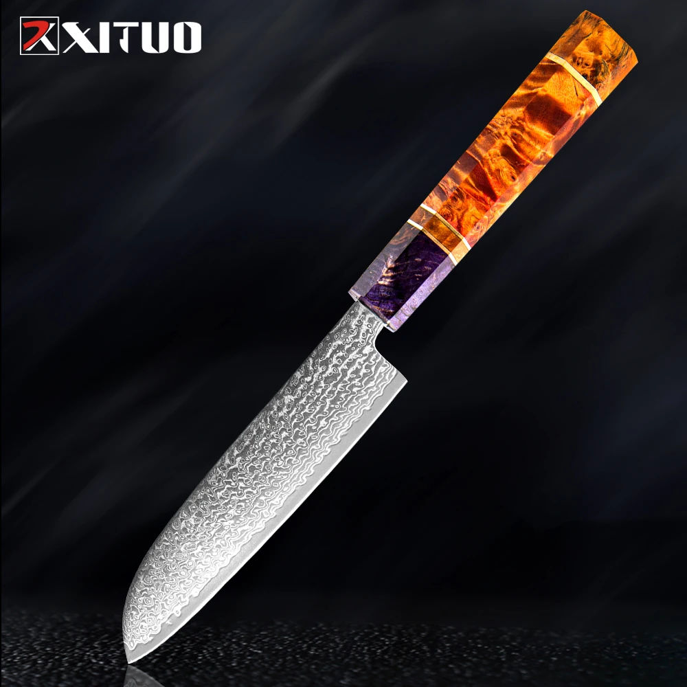 Santoku en acier Damas VG10 à 67 couches 5-A-R5x