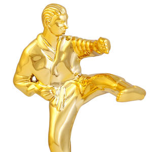 Coupe <span class=keywords><strong>du</strong></span> trophée <span class=keywords><strong>de</strong></span> la compétition <span class=keywords><strong>de</strong></span> taekwondo en or personnalisé en matière plastique pour le sport - Product Image 2